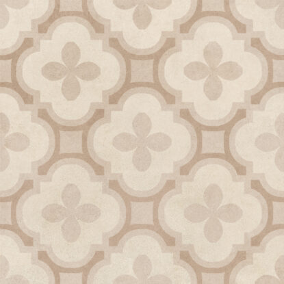 ragno solida rdev.jpg