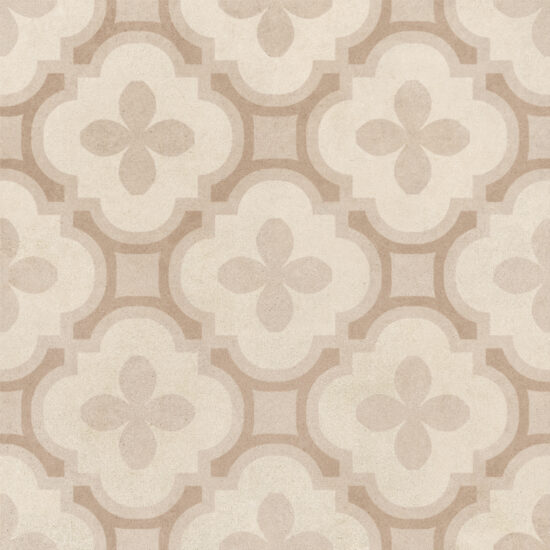 ragno solida rdev.jpg