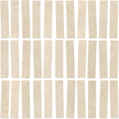 ragno solida rdjc.jpg