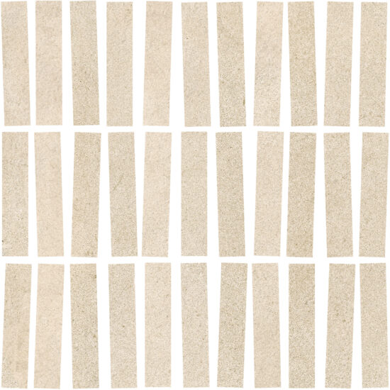 ragno solida rdjc.jpg