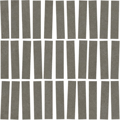 ragno solida rdjf.jpg