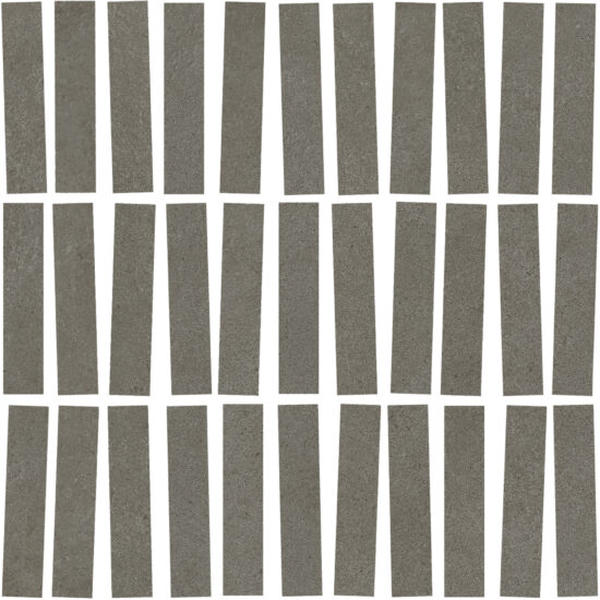 ragno solida rdjf.jpg