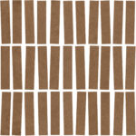 ragno solida rdjg.jpg