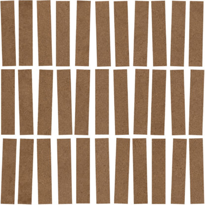 ragno solida rdjg.jpg