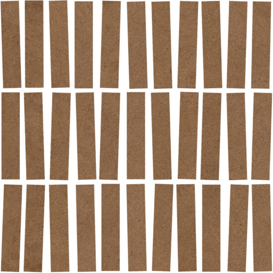 ragno solida rdjg.jpg