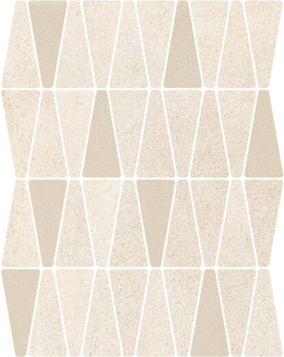 ragno solida rdjl.jpg