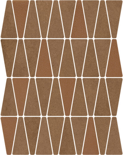 ragno solida rdjm.jpg