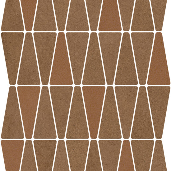 ragno solida rdjm.jpg