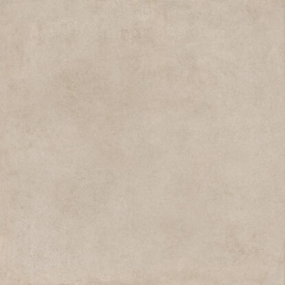 ragno solida rdme.jpg