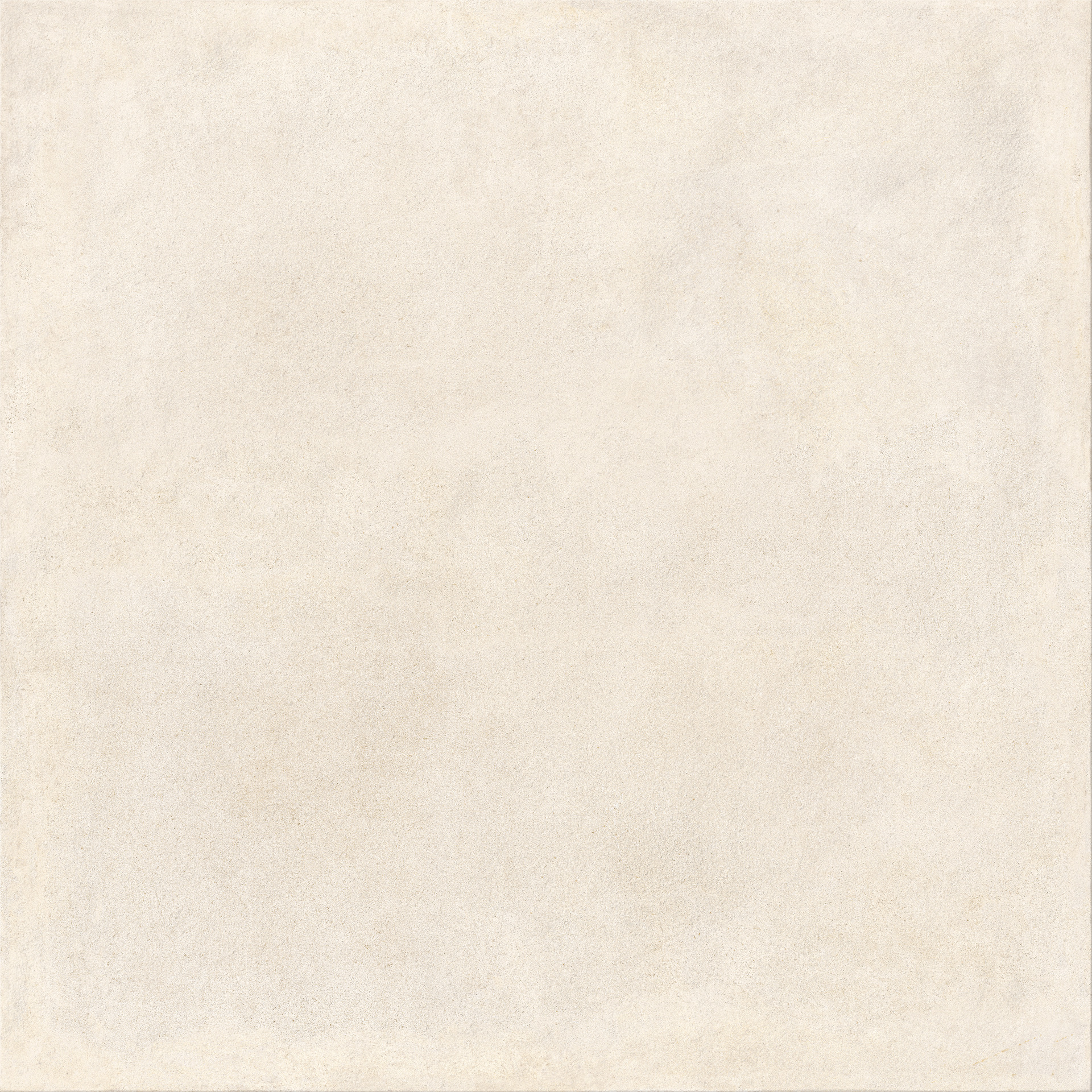 ragno solida rdmf.jpg