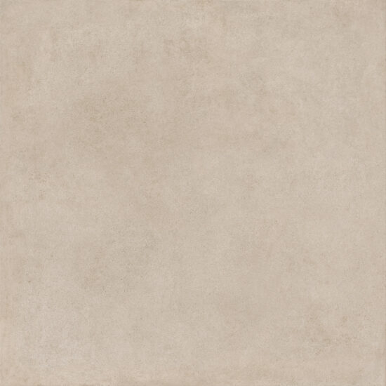 ragno solida rdmg.jpg