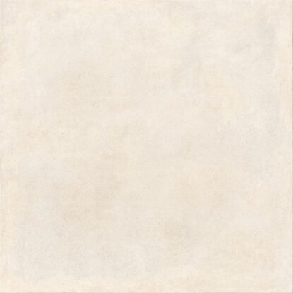 ragno solida rdmh.jpg