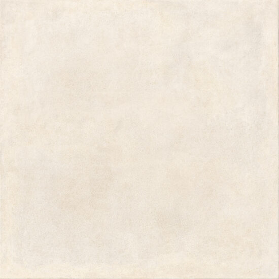 ragno solida rdmh.jpg