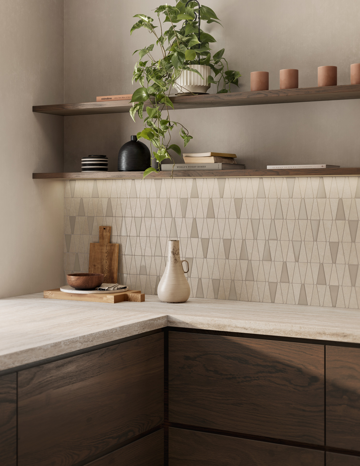 ragno solida 002.jpg