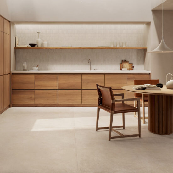 ragno solida 004.jpg