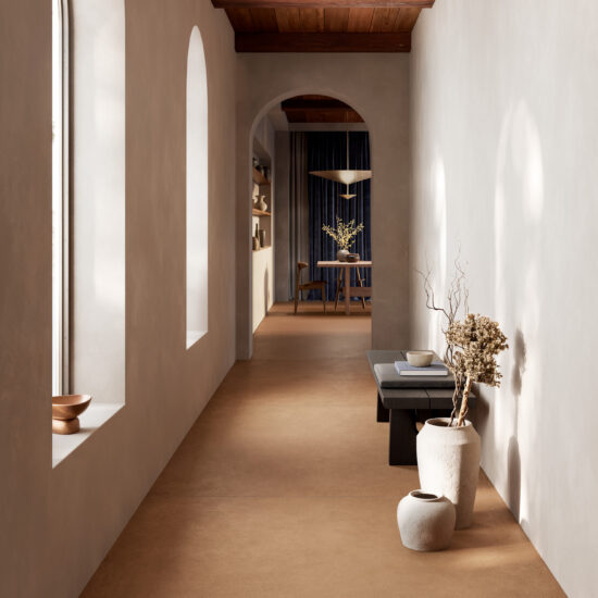 ragno solida 007.jpg