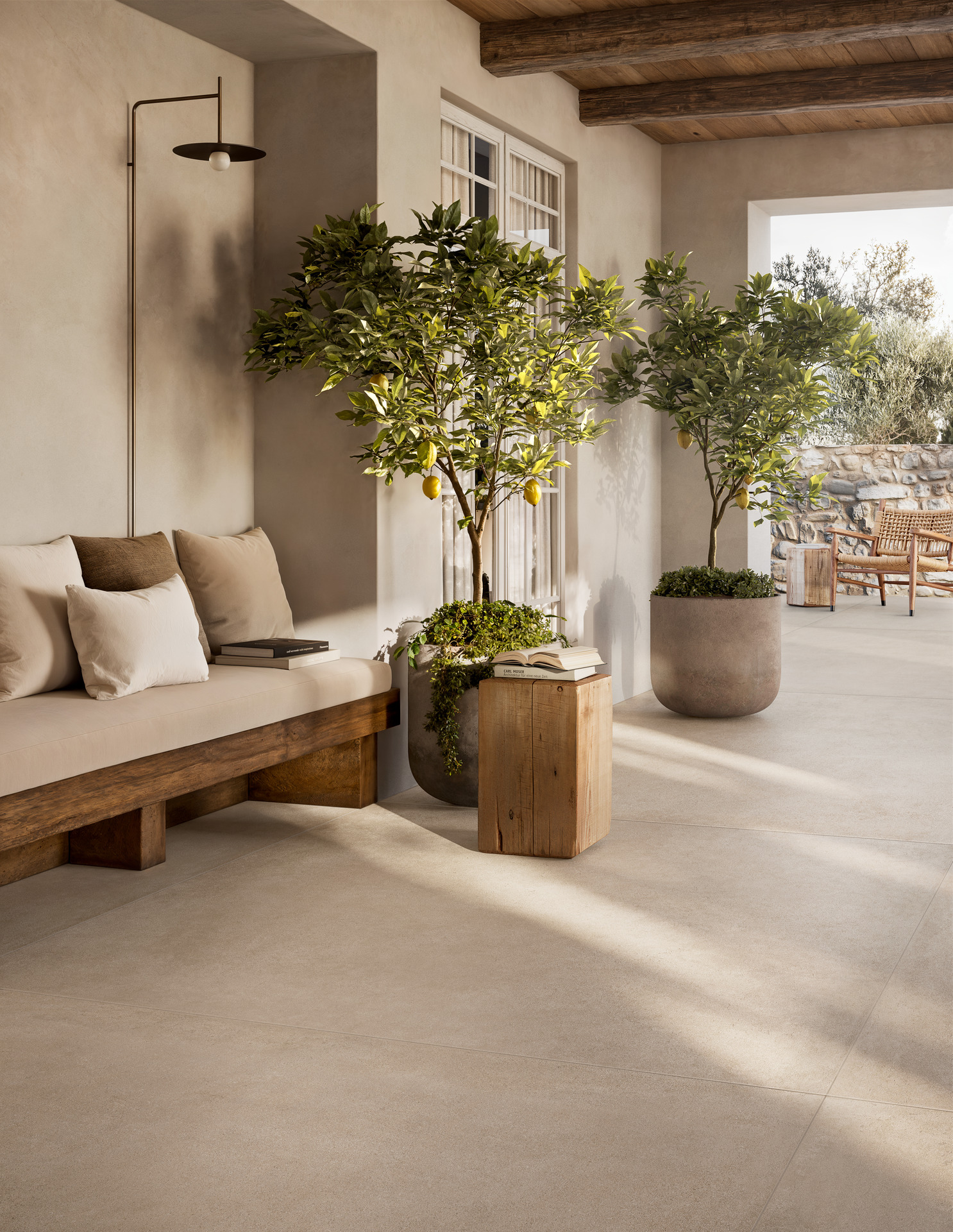 ragno solida 016.jpg