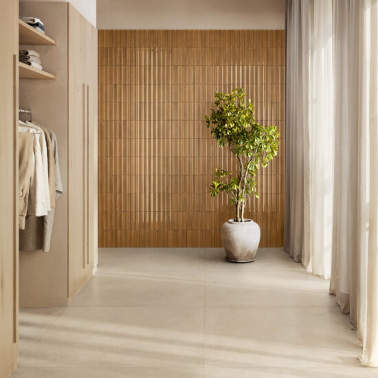 ragno solida 018.jpg