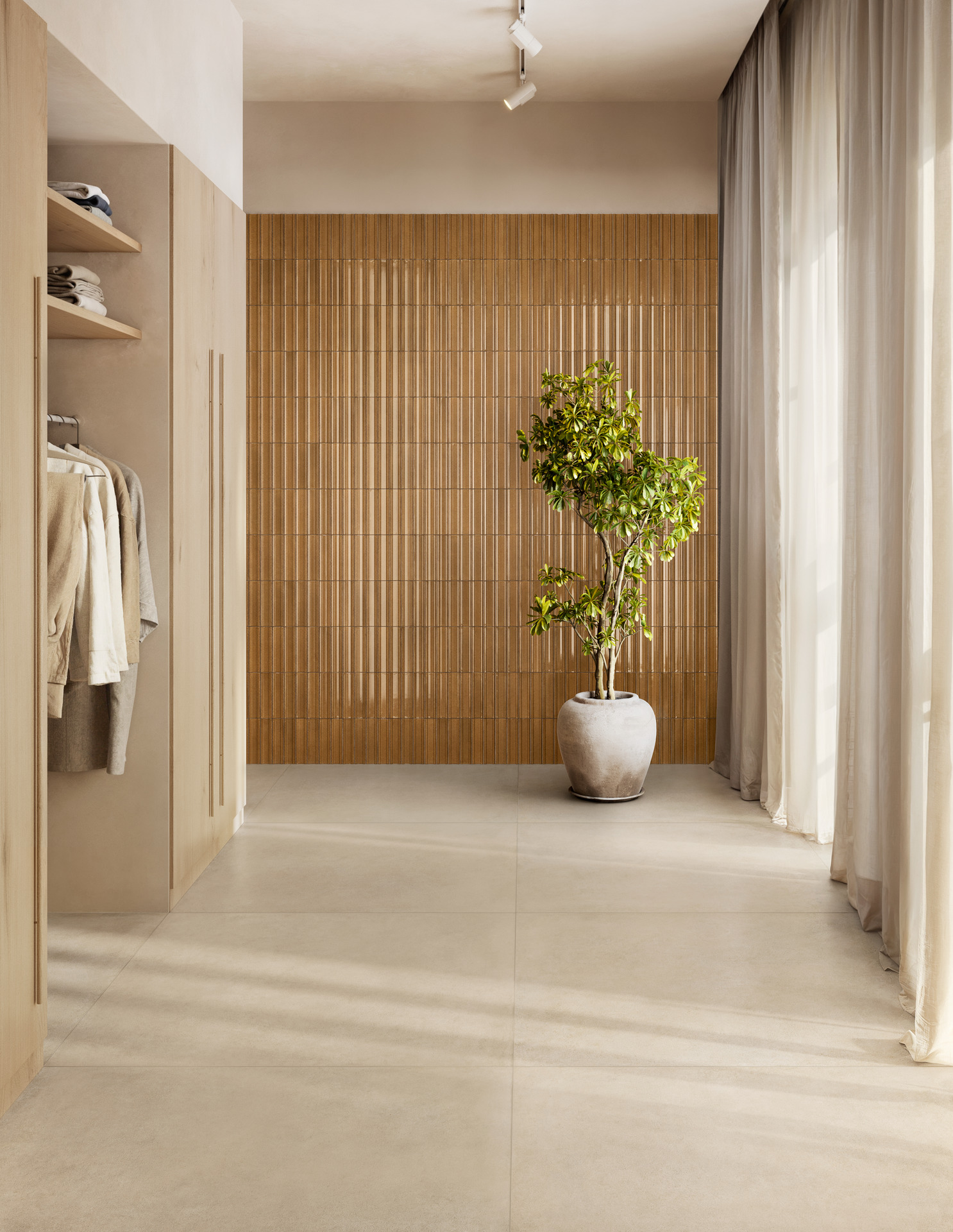 ragno solida 018.jpg