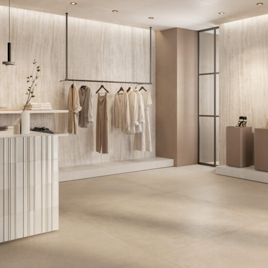 ragno solida 019.jpg