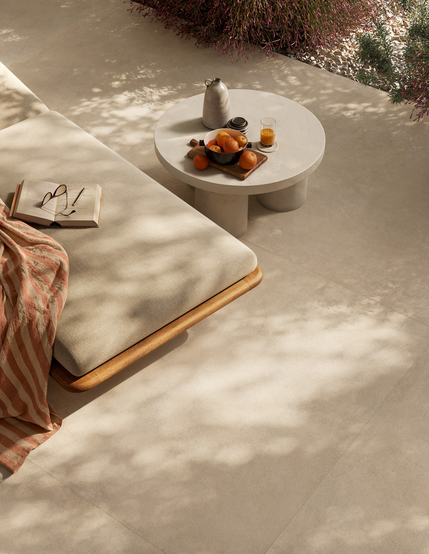 ragno solida 023.jpg