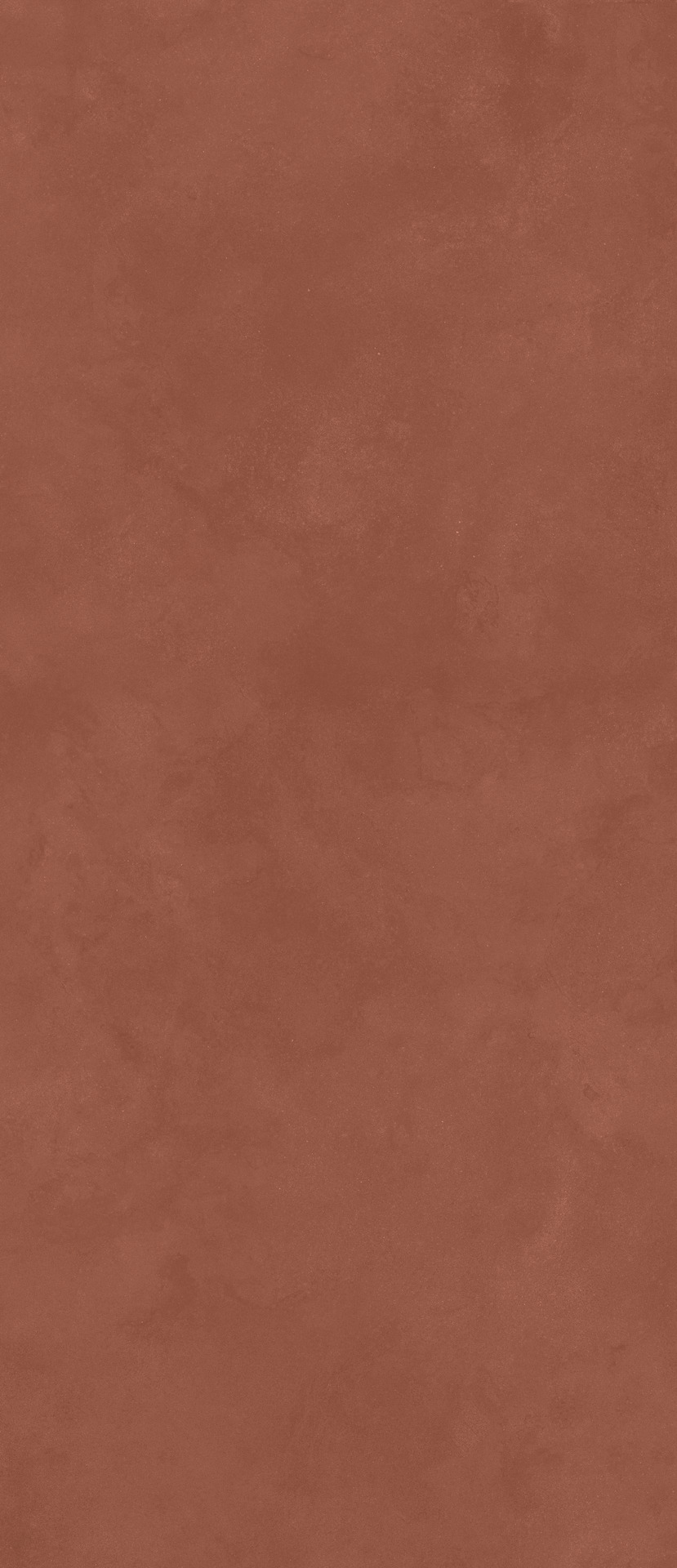 ragno stratford rcfn.jpg