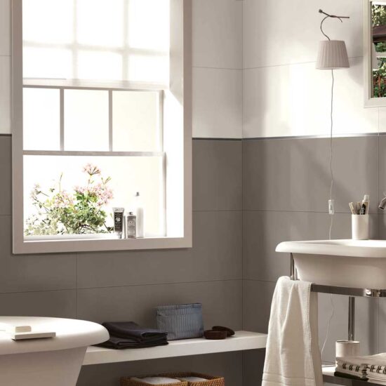 ragno tempera 000w.jpg