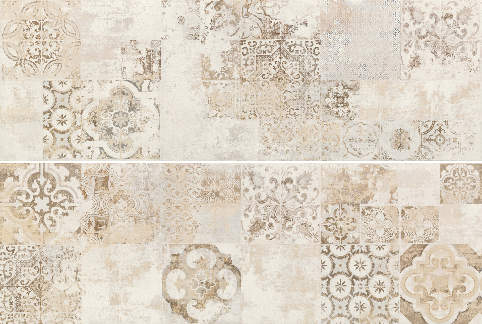 ragno terracruda r02m.jpg