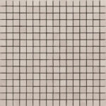 ragno terracruda r05j.jpg