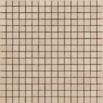 ragno terracruda r05l.jpg