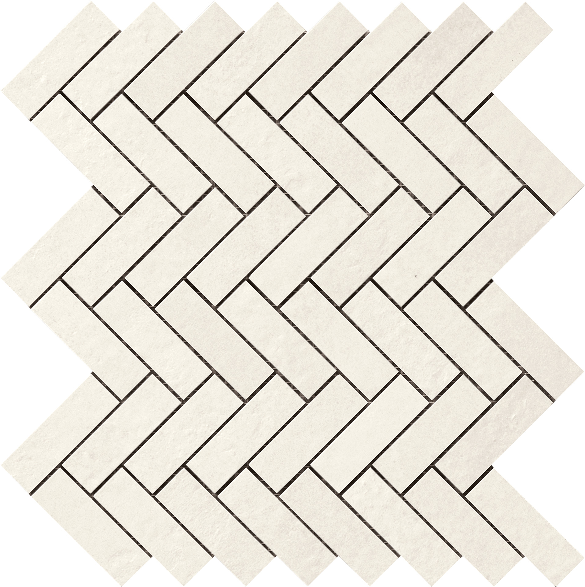 ragno terracruda r05y.jpg