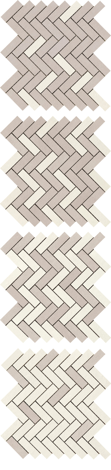 ragno terracruda r060.jpg