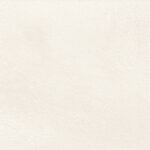 ragno terracruda r5mw.jpg