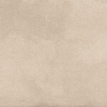 ragno terracruda r65n.jpg