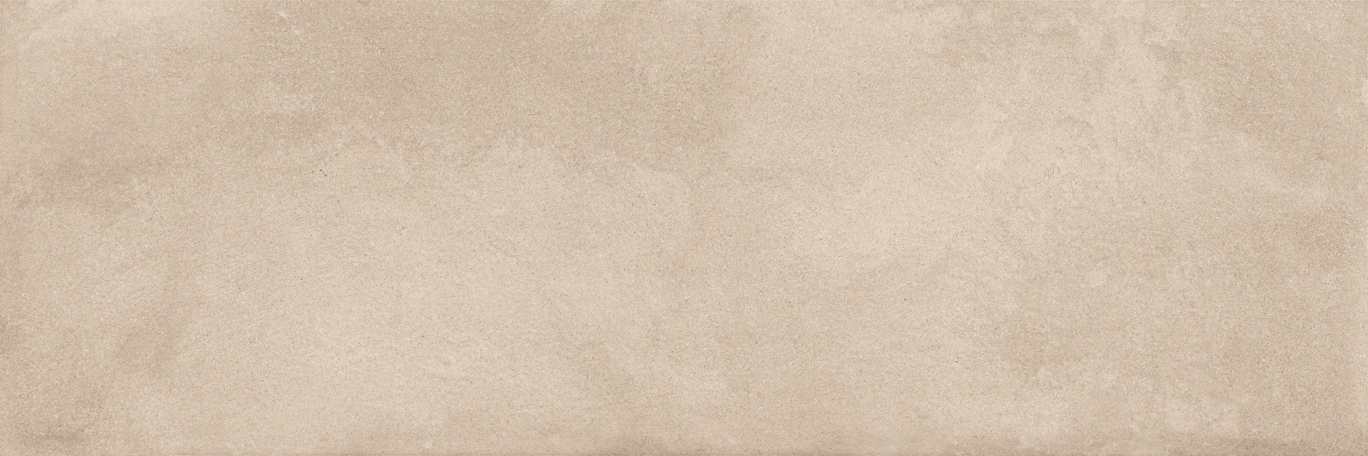 ragno terracruda r65n.jpg