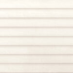 ragno terracruda r68m.jpg