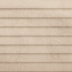 ragno terracruda r693.jpg