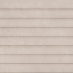 ragno terracruda r6ef.jpg