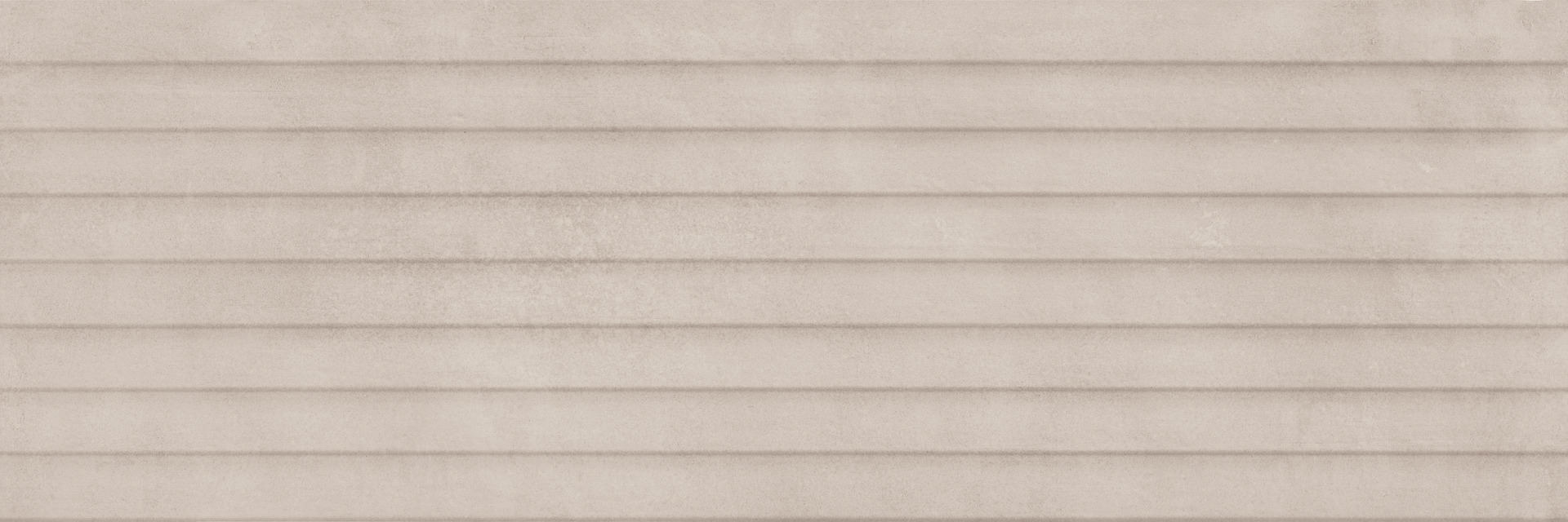 ragno terracruda r6ef.jpg