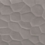 ragno terracruda r6uz.jpg