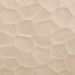 ragno terracruda r6zq.jpg