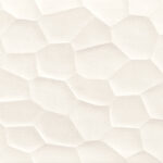 ragno terracruda r70f.jpg