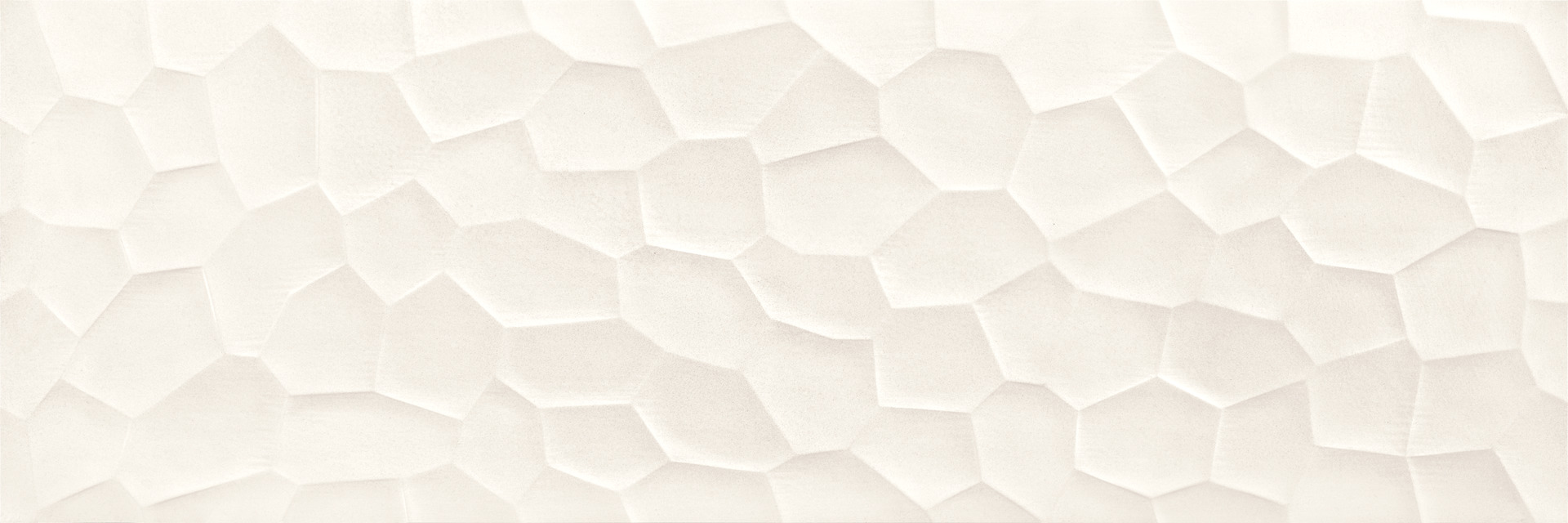 ragno terracruda r70f.jpg