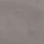 ragno terracruda r74j.jpg