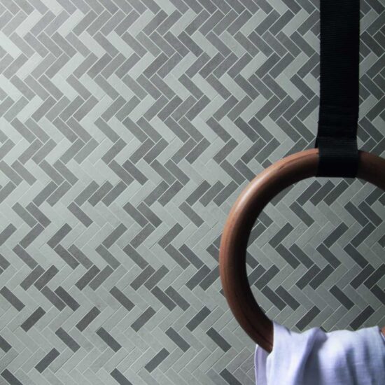 ragno terracruda 011.jpg