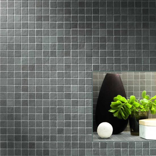 ragno terracruda 023.jpg