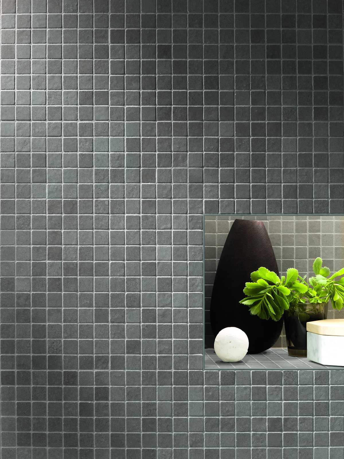 ragno terracruda 023.jpg