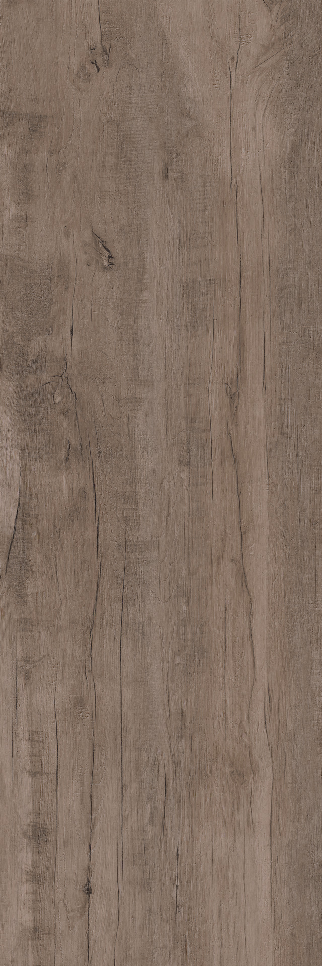 ragno woodmania xt20 r5tt.jpg