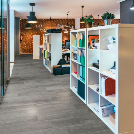 ragno woodsoft 004.jpg