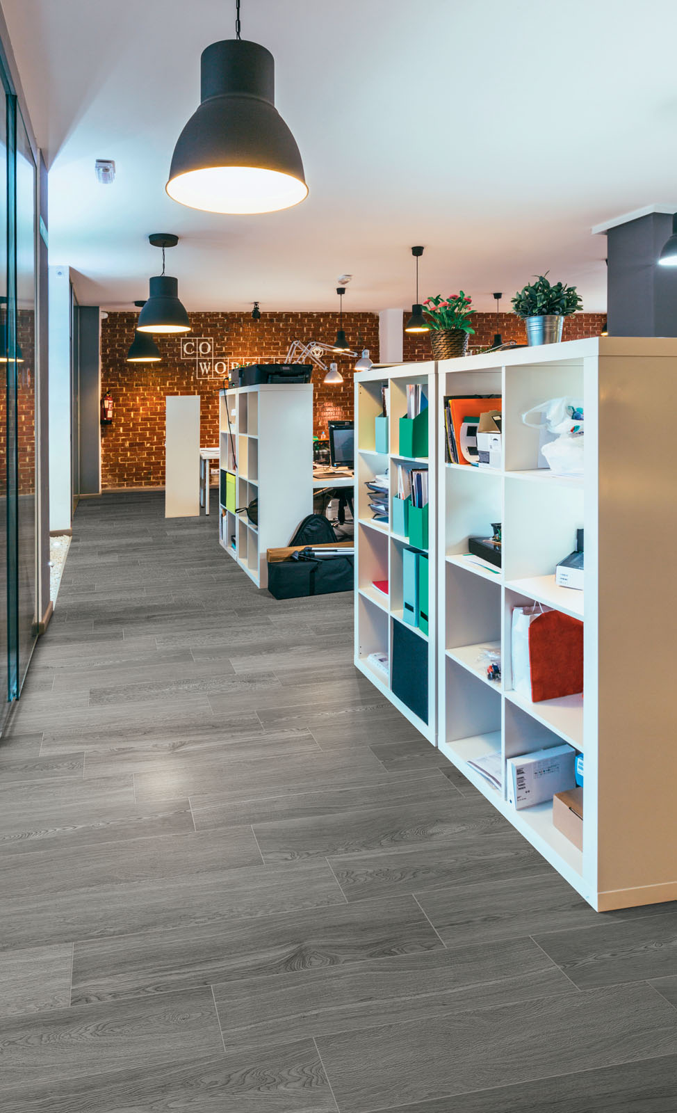 ragno woodsoft 004.jpg